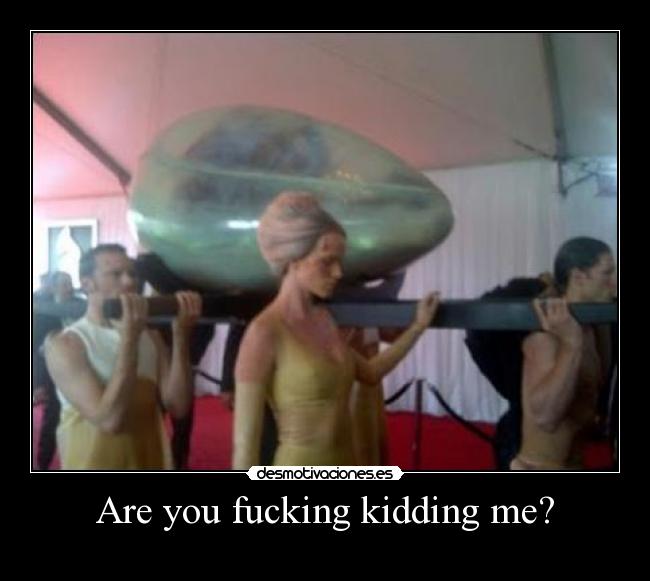 Are you fucking kidding me? - 
