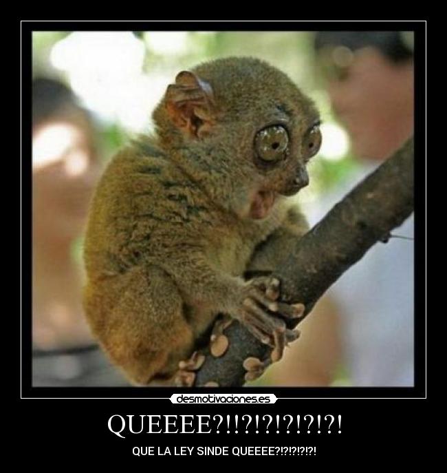 QUEEEE?!!?!?!?!?!?! -