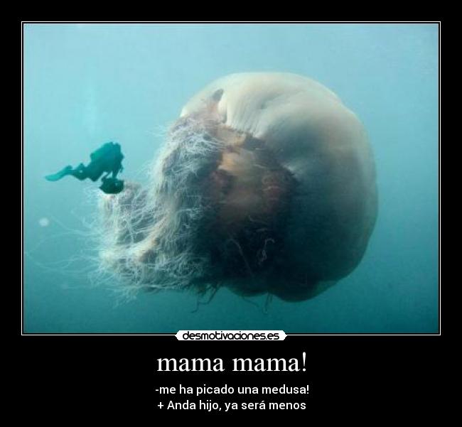 mama mama! -