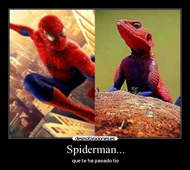 Spiderman... - que te ha pasado tio