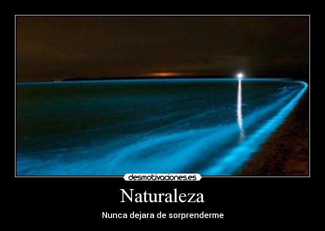 Naturaleza -