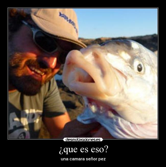 ¿que es eso? - 