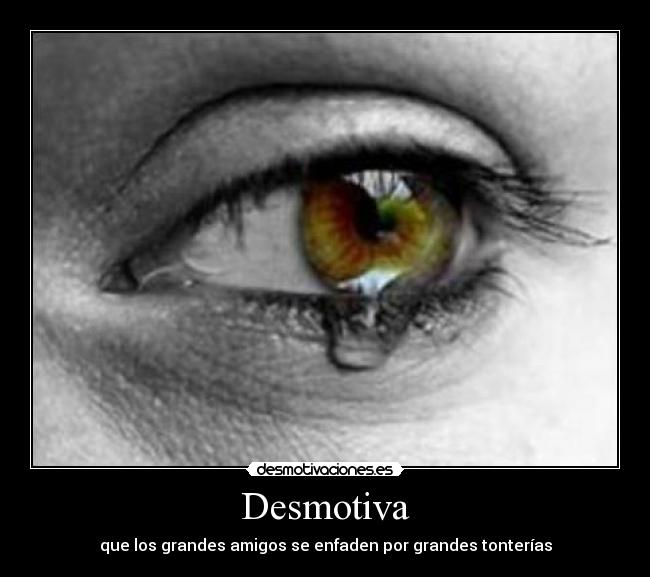 Desmotiva - que los grandes amigos se enfaden por grandes tonterías