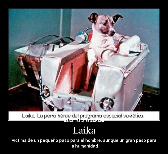 Laika -