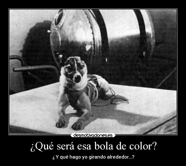¿Qué será esa bola de color? - ¿ Y qué hago yo girando alrededor...?