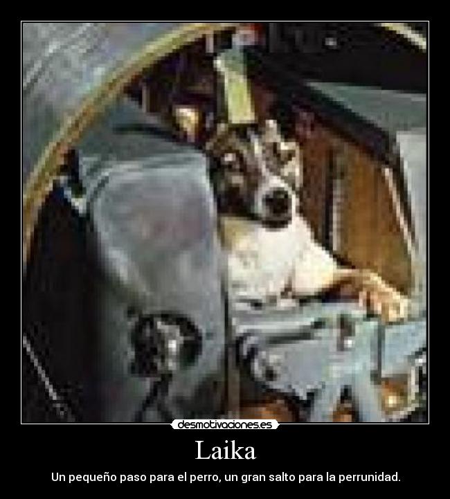 Laika -