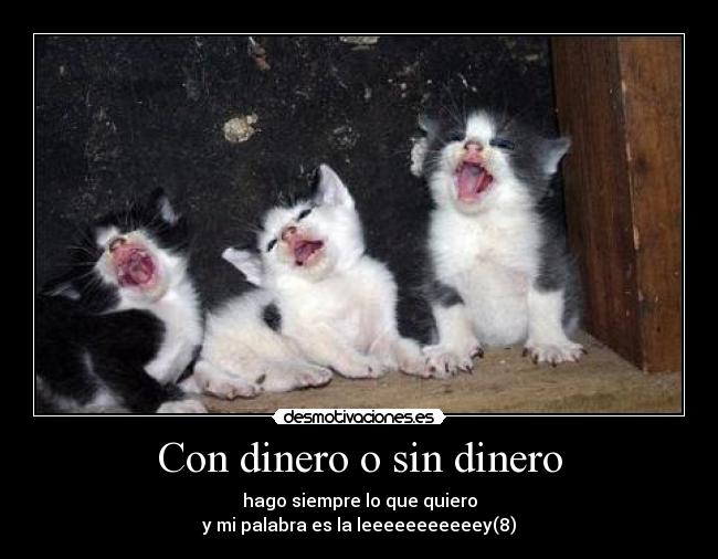 CON DINERO SIN DINERO HAGO SIEMPRE LO QUE QUIERO con dinero sin dinero hago siempre lo que quiero: