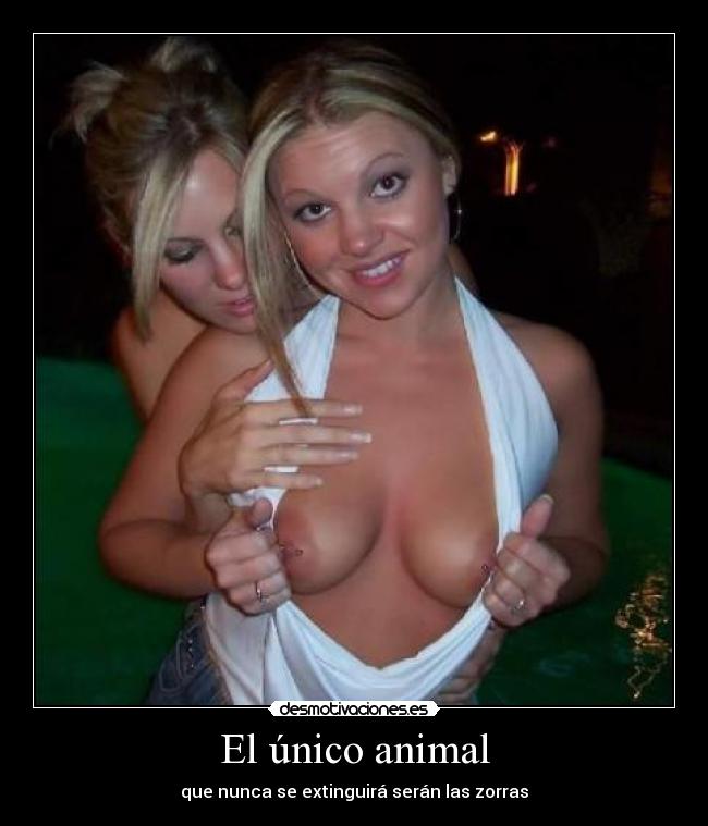 El único animal - 