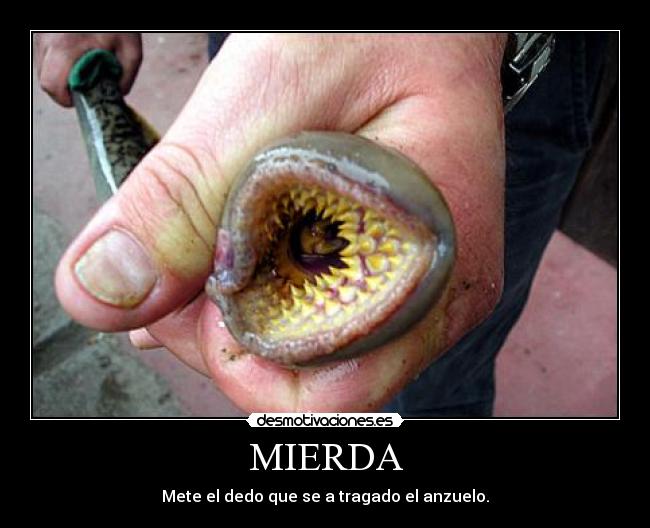 MIERDA - 