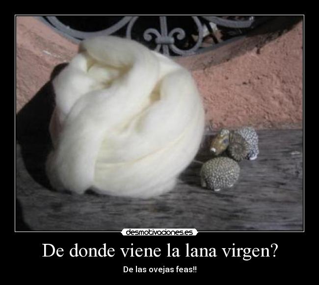 De donde viene la lana virgen? - 