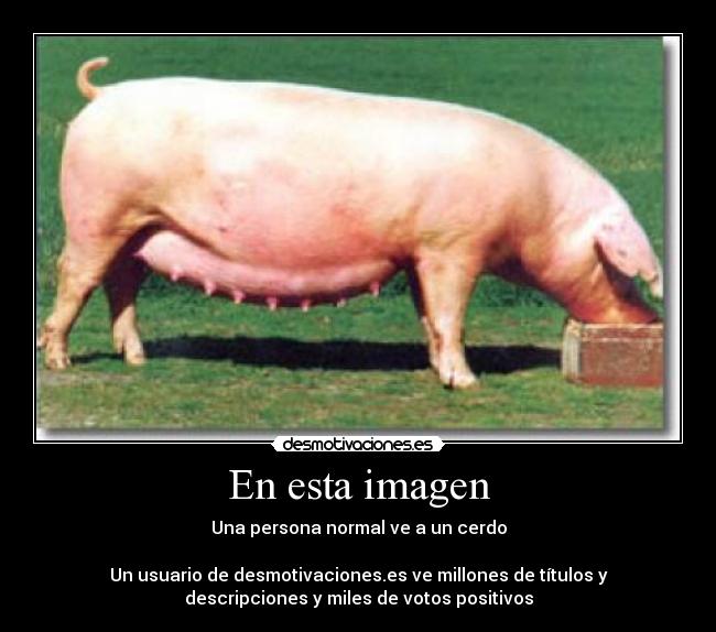 En esta imagen - Una persona normal ve a un cerdo
Un usuario de desmotivaciones.es ve millones de títulos y
descripciones y miles de votos positivos