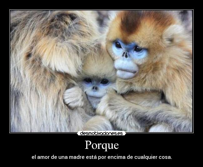 Porque - el amor de una madre está por encima de cualquier cosa.