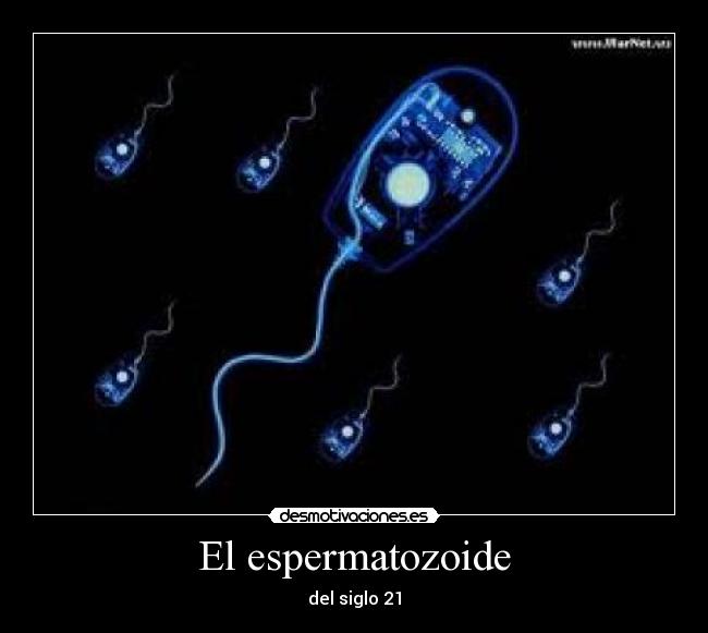 El espermatozoide - del siglo 21