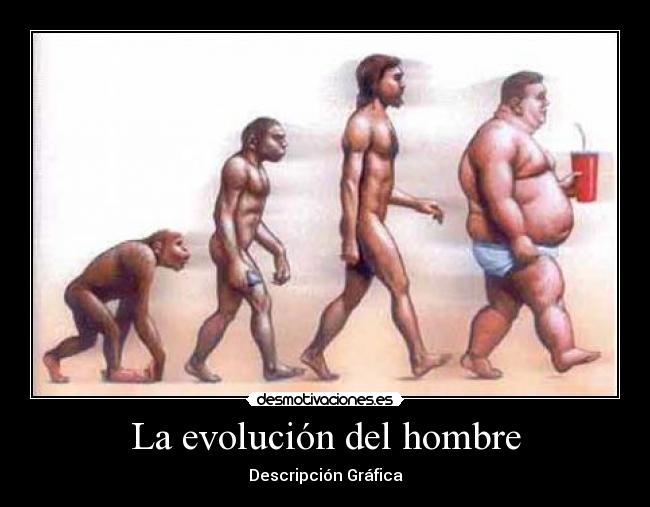La evolución del hombre - Descripción Gráfica