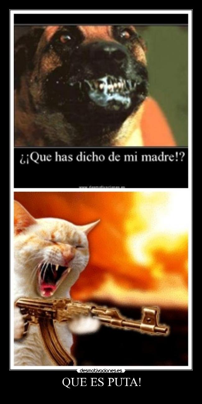 QUE ES PUTA! - 