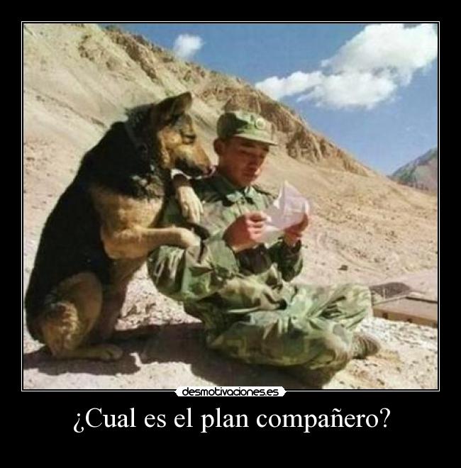 ¿Cual es el plan compañero? -