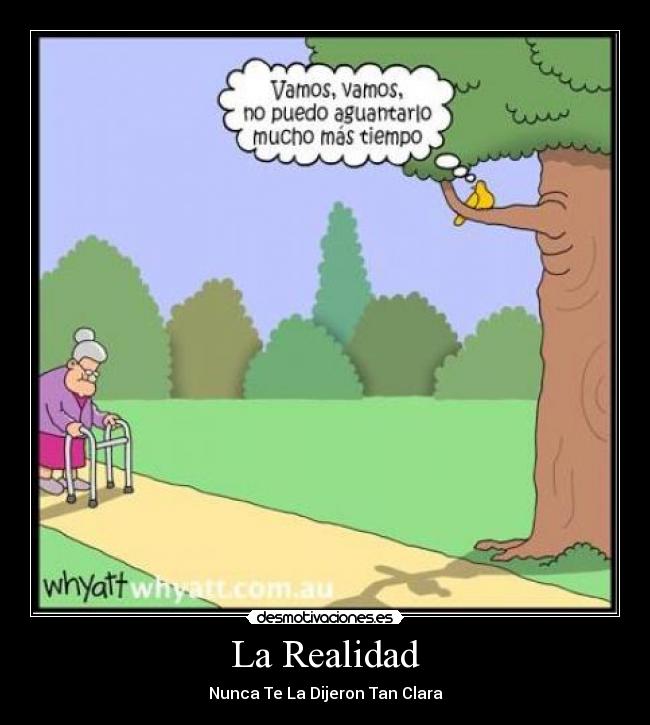La Realidad -