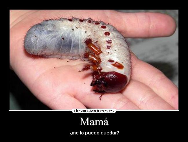 Mamá - 