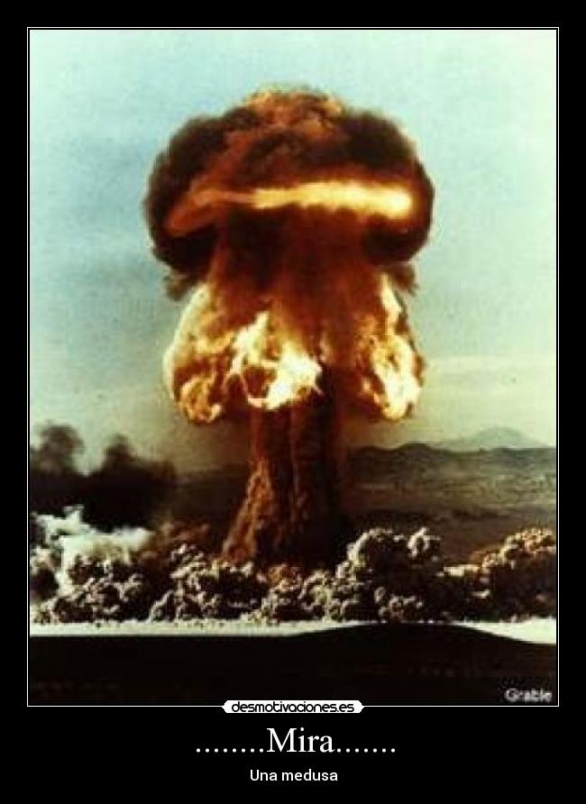 ........Mira....... - Una medusa