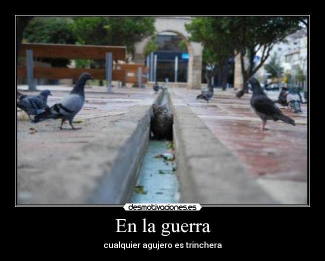 En la guerra - cualquier agujero es trinchera