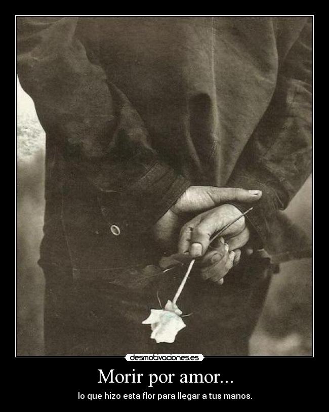 Morir por amor... -