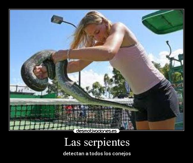 Las serpientes - 