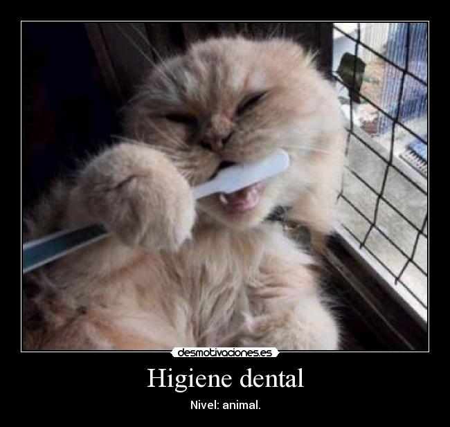 Higiene dental - 