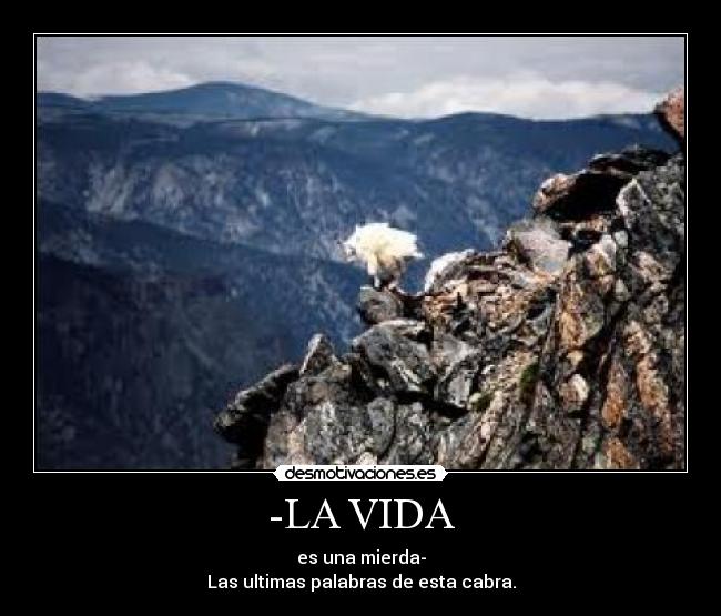 carteles vida xgorkax desmotivaciones