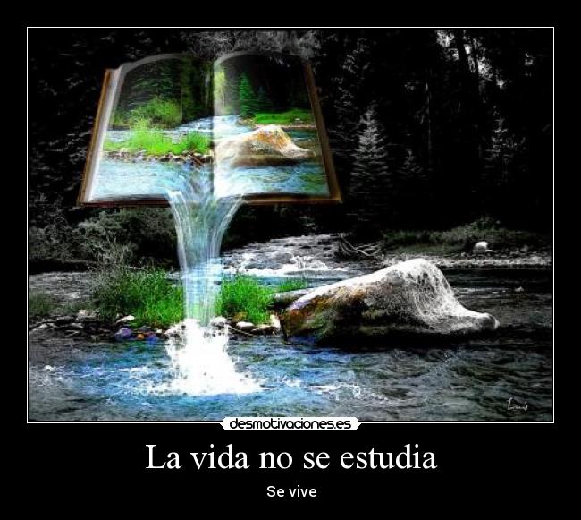 La vida no se estudia - Se vive