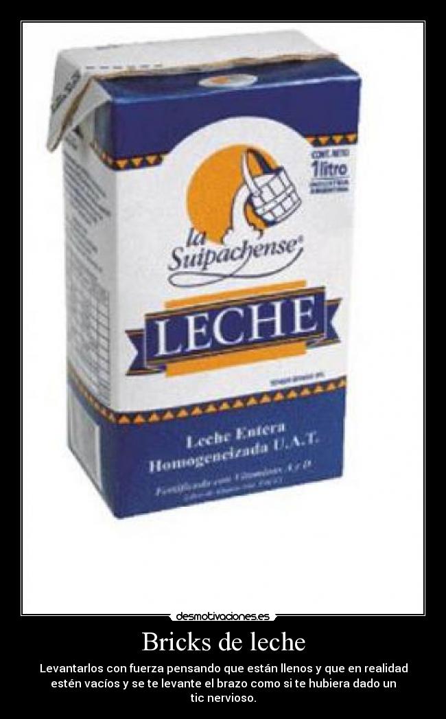 Bricks de leche -