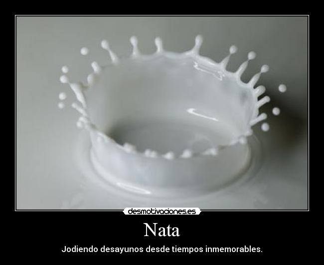 Nata - Jodiendo desayunos desde tiempos inmemorables.