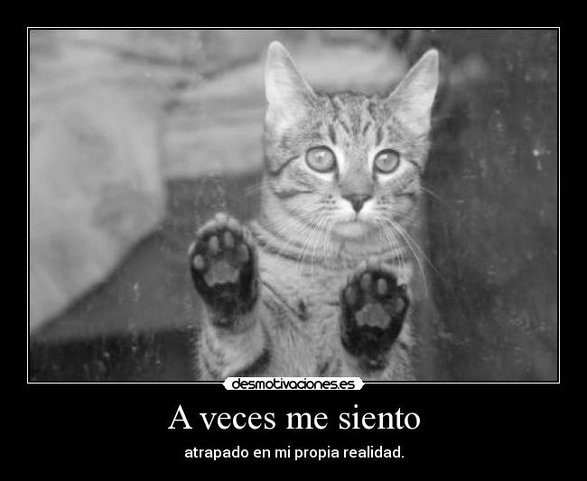 A veces me siento - 