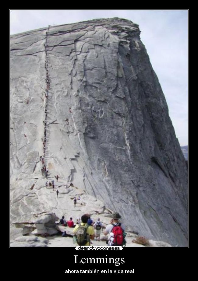 Lemmings - ahora también en la vida real