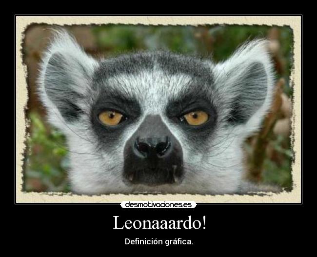 Leonaaardo! -