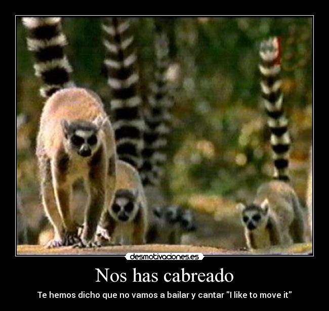 carteles lemur like move madagascar desmotivaciones