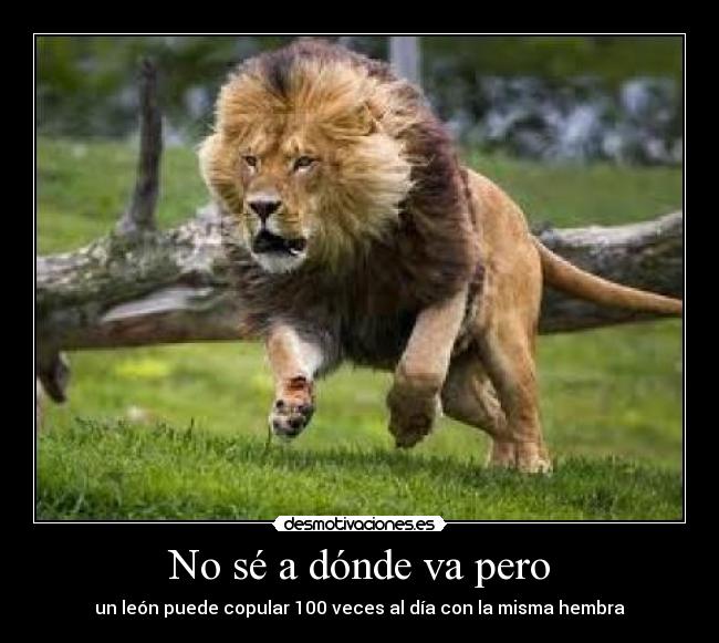 No sé a dónde va pero -