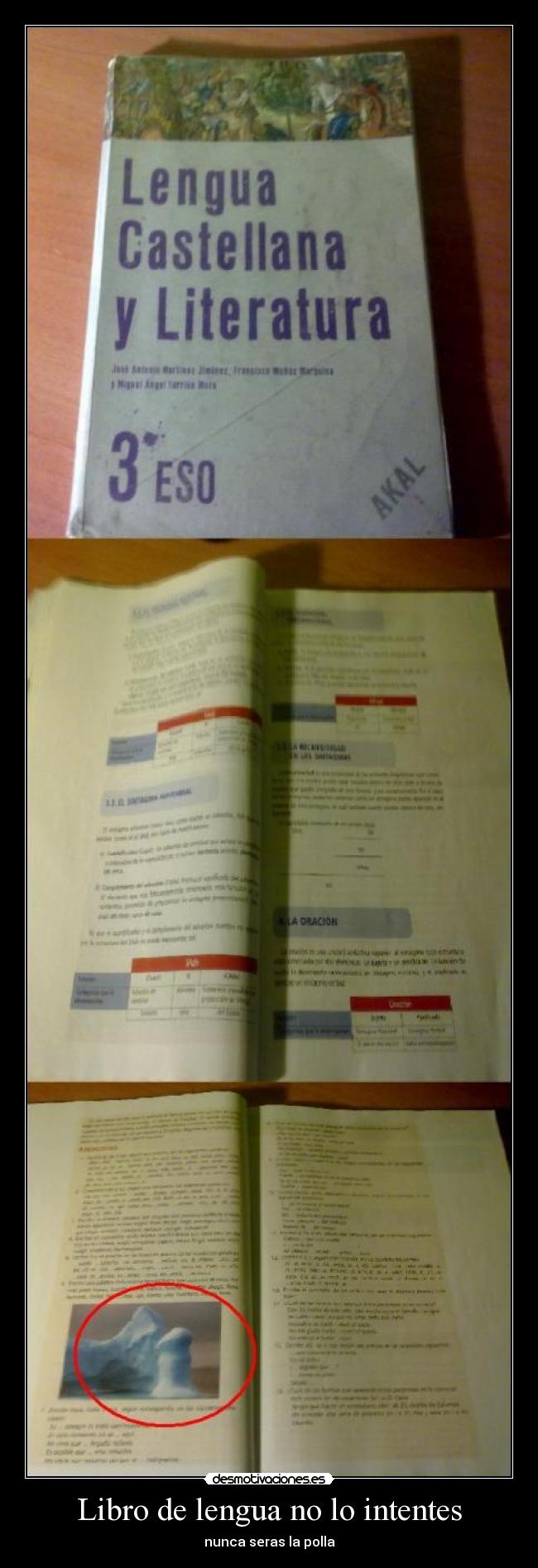 Libro de lengua no lo intentes - nunca seras la polla