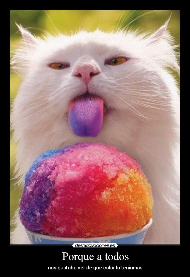 carteles lenguacolorinesinfancia desmotivaciones