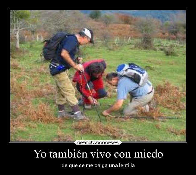 carteles miedo lentilla suelo desmotivaciones