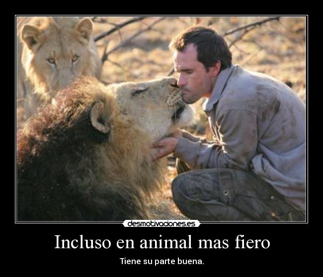 Incluso en animal mas fiero - Tiene su parte buena.