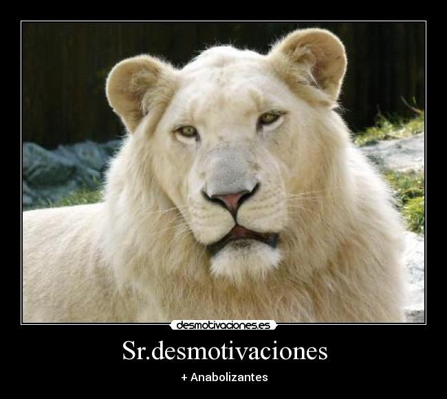 Sr.desmotivaciones -