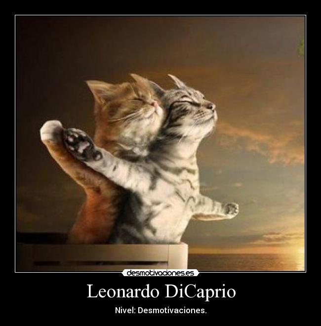 Leonardo DiCaprio - 