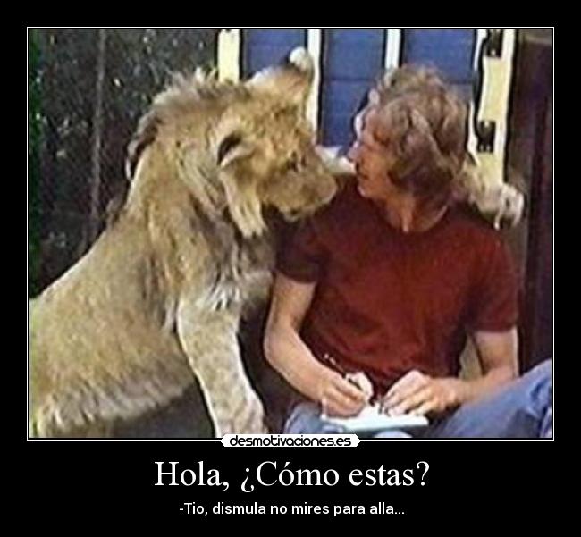 Hola, ¿Cómo estas? - -Tio, dismula no mires para alla...