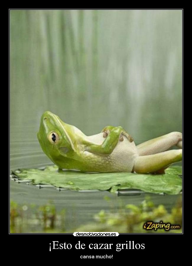 ¡Esto de cazar grillos - cansa mucho!