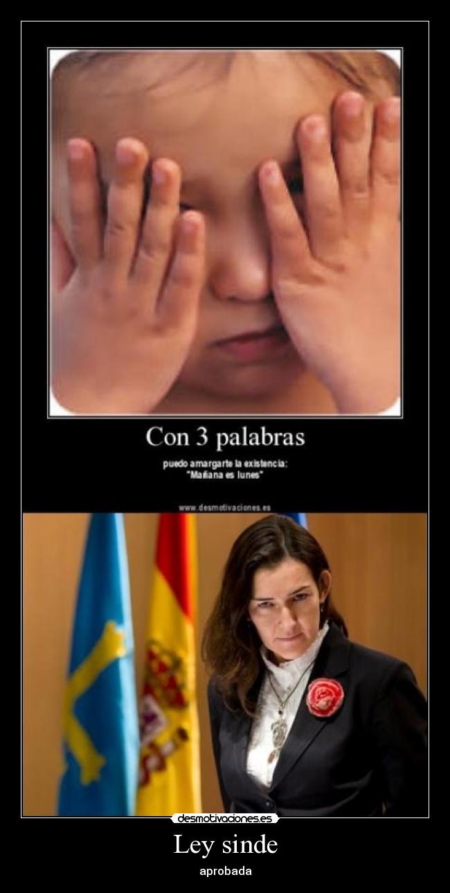 Ley sinde - aprobada