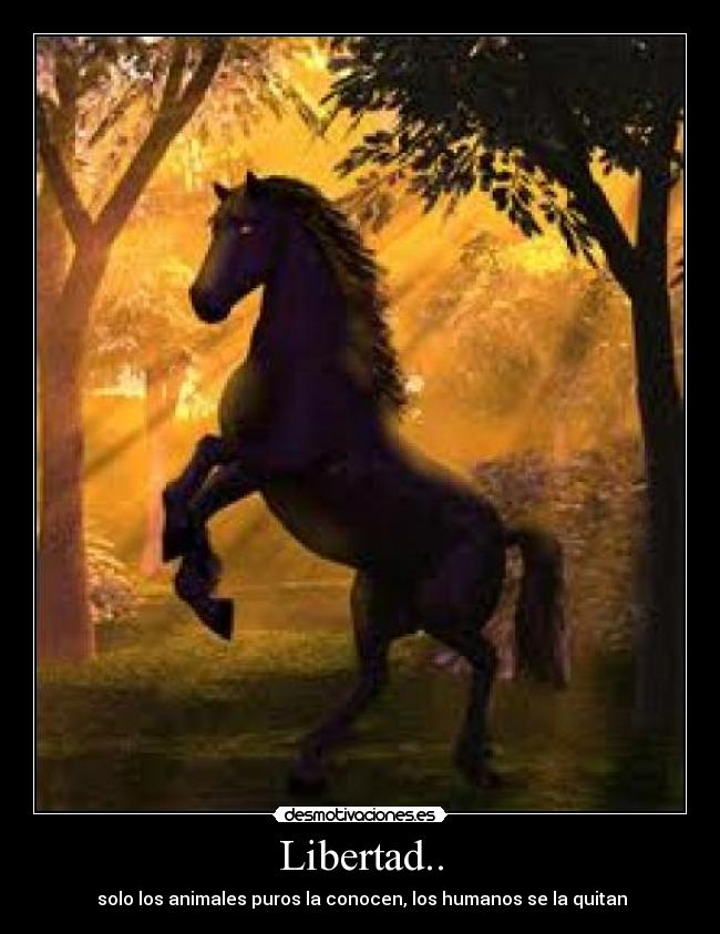 Libertad.. - 