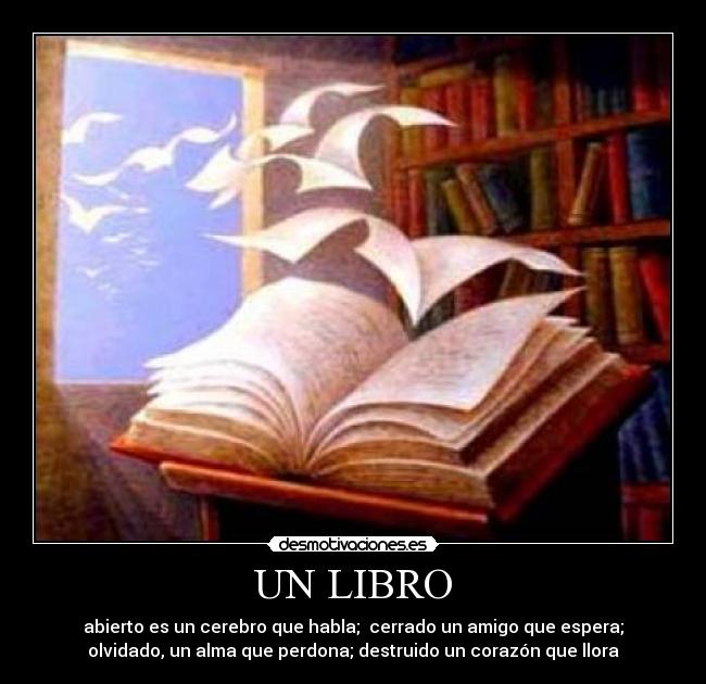 UN LIBRO - 