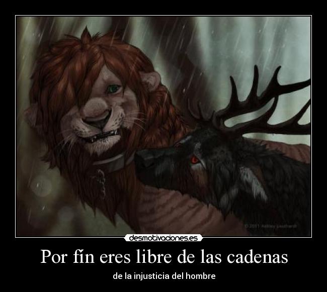 Por fín eres libre de las cadenas -