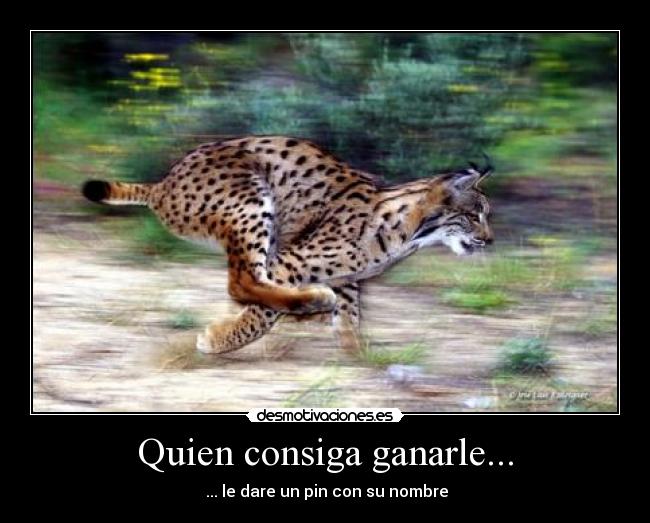 Quien consiga ganarle... - ... le dare un pin con su nombre