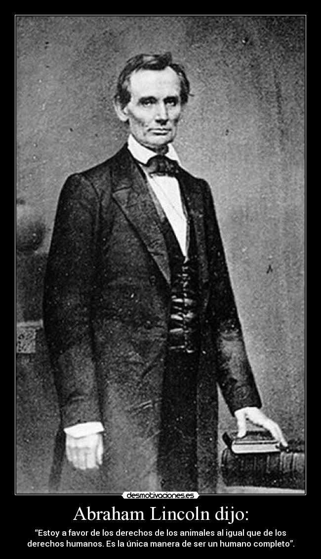 Abraham Lincoln dijo: - 